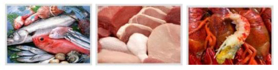 图片11.jpg 图片11.jpg